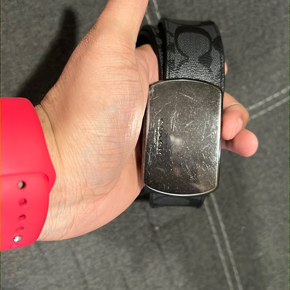 Coach Belt